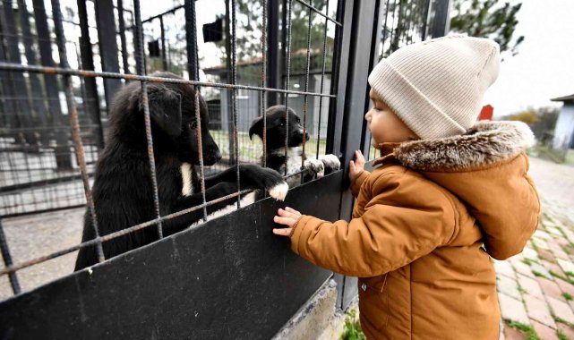 Can dostlara hem şifa, hem sıcak yuva