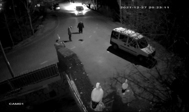 Çarptığı kediyi yolda bırakmadı