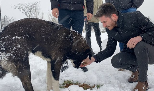 Çarşamba'da sokak hayvanlarına mama dağıtıldı