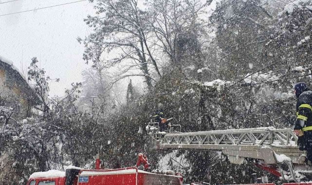 Çatıların üzerine düşen ağaçlara temizleme ve budama çalışması yapıldı