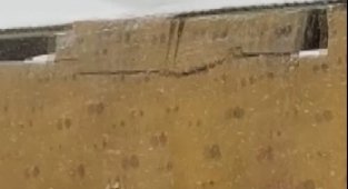 Çatının çökme anı saniye saniye kameralara yansıdı