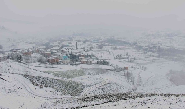 Çay üreticileri çaya kar yağmasından memnun