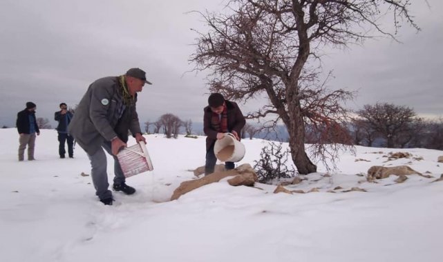 Çemişgezek&#039;te yaban hayvanları için doğaya yem bırakıldı