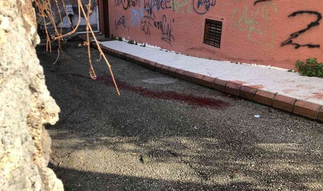 Cep telefonunu gasp etmeye çalışan şahsı öldüren zanlı tutuklandı