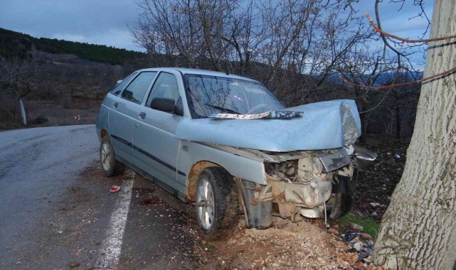 Ceviz ağacına çarpan aracın sürücüsü ağır yaralandı