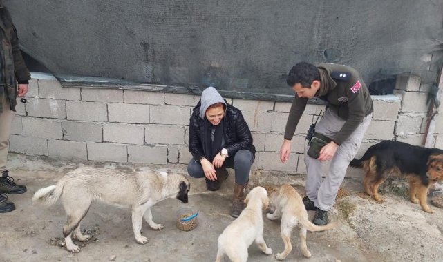 Çevre, doğa ve hayvan polisinden sokak hayvanlarına mama desteği