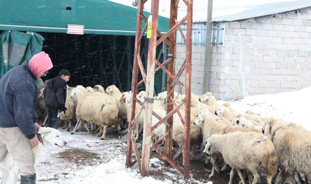 Çiftçinin imdadına Kocasinan Belediyesi yetişti