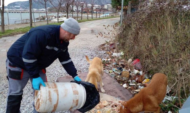 Çınarcık&#039;ta sokak hayvanlarına mama bırakıldı