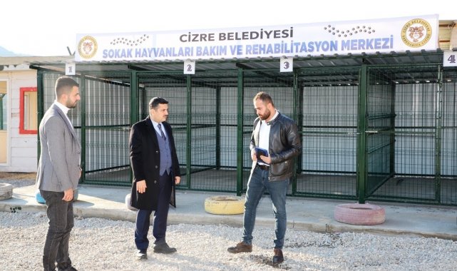 Cizre Belediyesinden sahipsiz hayvanlar için geçici bakımevi