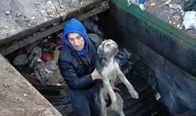 Çöp ayrıştırma makinesine düşen köpek kurtarıldı
