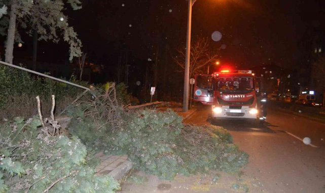 Çorlu'da kuvvetli fırtına: Ağaçlar devrildi, çatılar uçtu, direkler devrildi