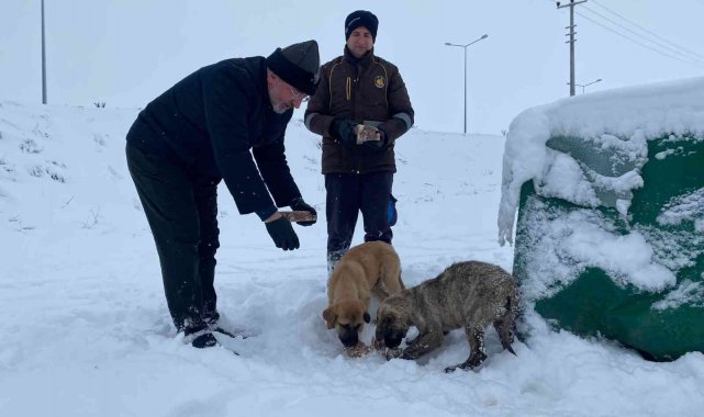 Çorum'da sokak hayvanları unutulmadı