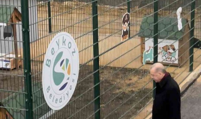 Cumhurbaşkanı Erdoğan, Beykoz hayvan barınağını ziyaret etti