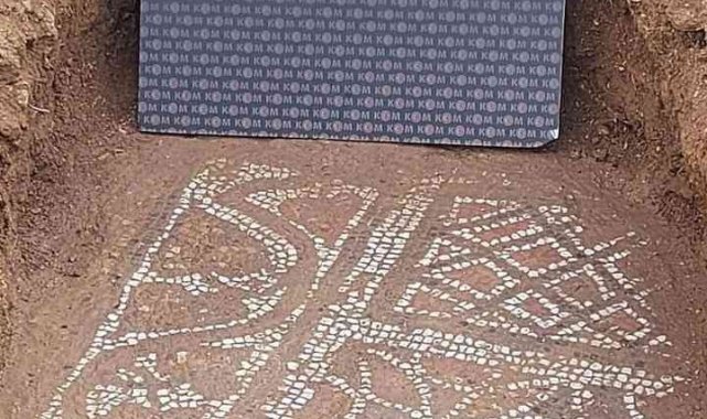 Dağlık arazide kaçak kazı baskını: 6. yüzyıldan kalma mozaik ele geçirildi