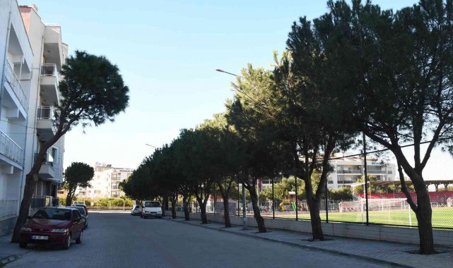 Davutlar Mahallesi'nde alt ve üst yapı çalışmaları devam ediyor