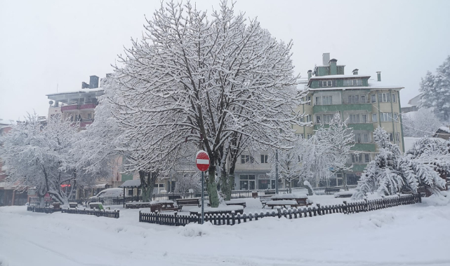 Denizli güne karla uyandı