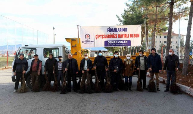 Denizli&#039;de 5 yılda 380 bin ceviz fidanı toprakla buluştu