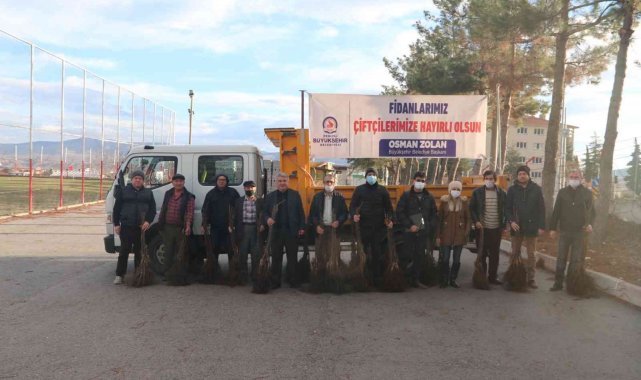 Denizli'de sertifikalı ceviz fidanları toprakla buluşuyor