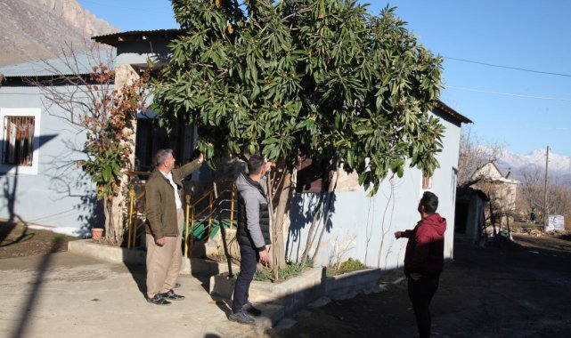 Derecik'te kış günü ağaçlar çiçek açtı