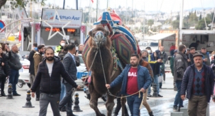 Develer Bodrum sokaklarında