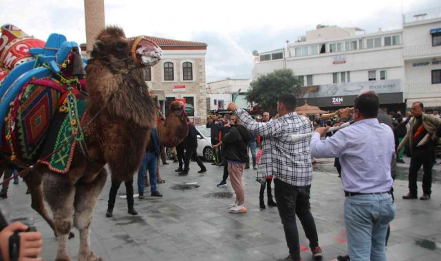 Develeri gören telefona sarıldı