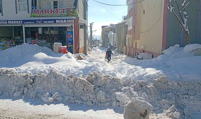 Dicle'de kar yağışı hayatı olumsuz etkiledi