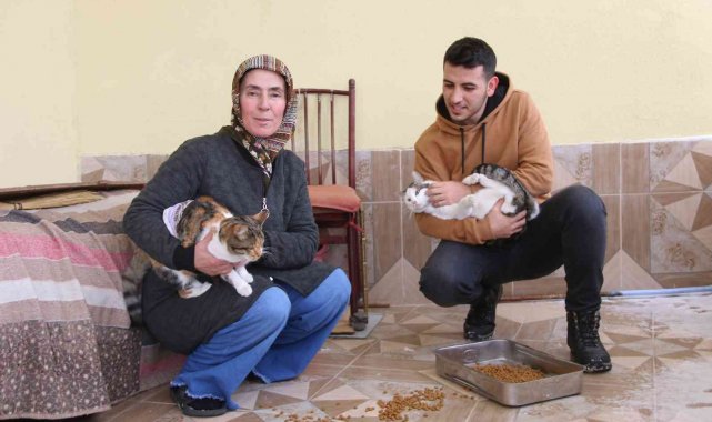 Dişinden arttırdığını kedilere veriyor