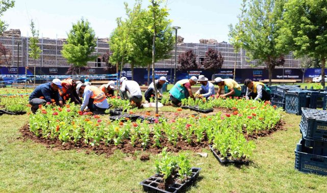 Diyarbakır 2021&#039;de 3 milyon 500 bin mevsimlik çiçekle süslendi