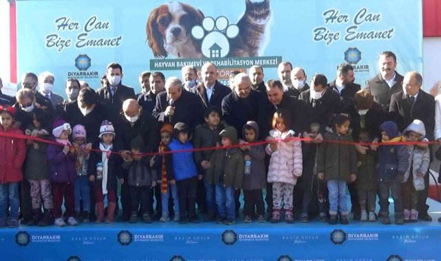 Diyarbakır ve çevresinde bulunan sokak hayvanları için 5 yıldızlı yuva açıldı