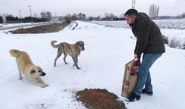 DKMP Eskişehir ekipleri kırsalda yaşayan hayvanlarını beslemeye devam ediyor