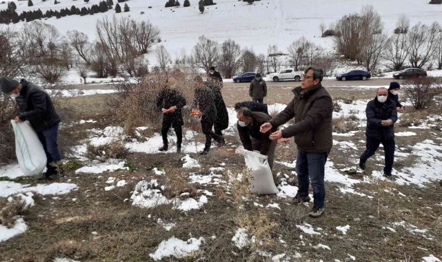Doğadaki hayvanlara yem bırakıldı