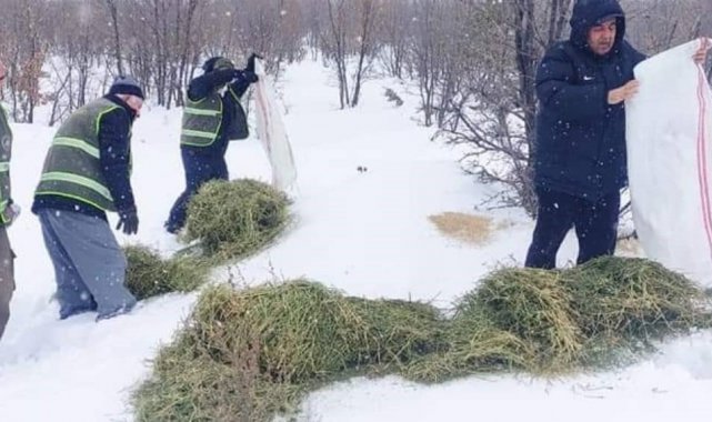 Doğanşehir'de doğada yaşayan hayvanlar unutulmadı