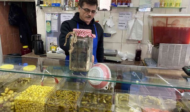 Dolar turşusu kurdu