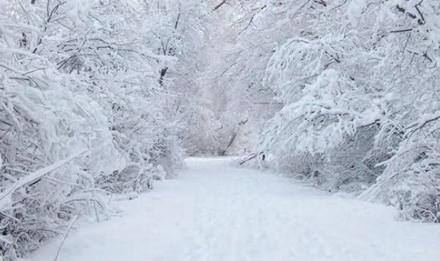 Domaniç&#039;te eğitim-öğretime bir gün ara verildi