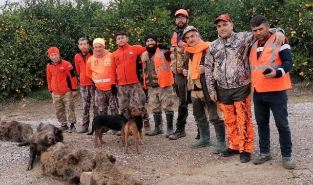 Domuzlardan bıkan üreticiler, avcılardan yardım istedi