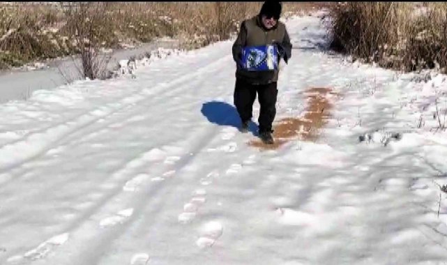 Donan gölde yiyeceksiz kalan yaban hayatının yardımına koştular