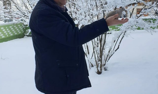 Donmak üzere olan kumruya işletme müdürü sahip çıktı