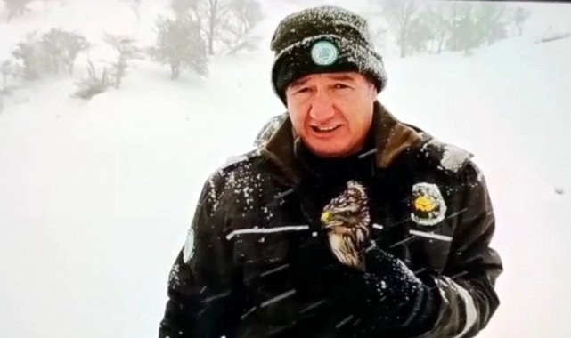 Donmak üzereyken bulduğu kızıl şahini ceketiyle ısıtmaya çalıştı