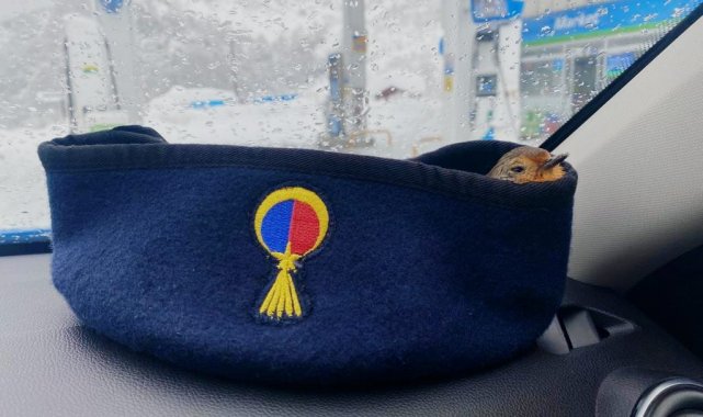 Donmak üzereyken ekipler tarafından bulundu