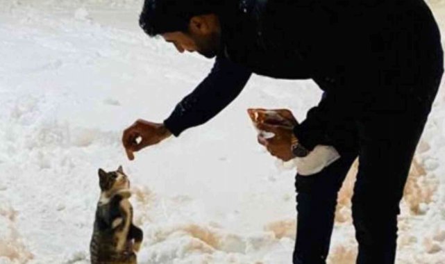 Dönüp gitmek yerine onları beslemek için yiyecekle geri dönmeyi seçti