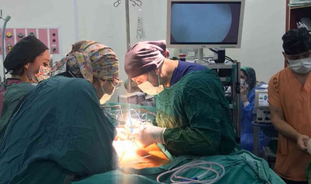 Dr. Taşdöven, "Tüp mide ameliyatı diyabet, kolesterol, yüksek tansiyonun gerilemesine yardımcı oluyor"