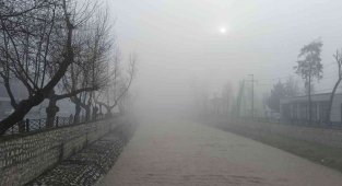 Düzce güne sisle uyandı, güneş siste kayboldu