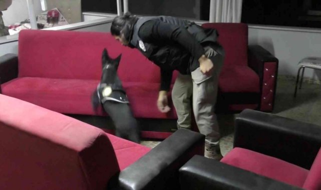 Düzce torbacı operasyonunda 98 kişi gözaltına alındı