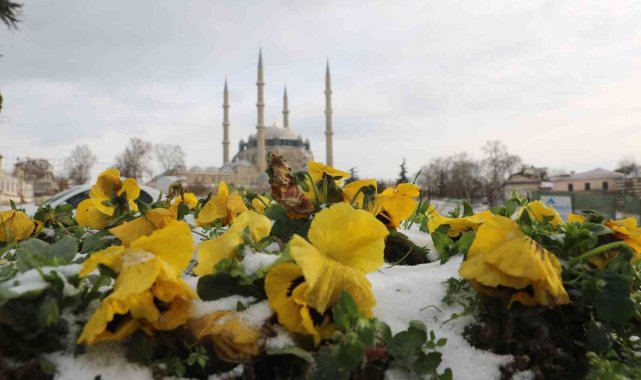 Edirne'de nehirler, yollar ve süs havuzları buz tuttu