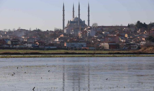 Edirne'de suyla kaplı tarlalar buz tuttu