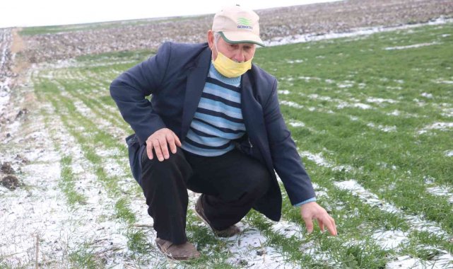 Edirneli çiftçilerin yüzü yağan karla güldü