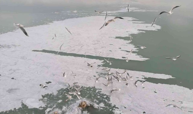 Eğirdir Gölü kıyıları buz tuttu