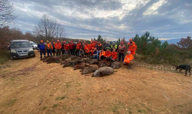 Ekinlere zarar veren 33 domuz bir günde vuruldu