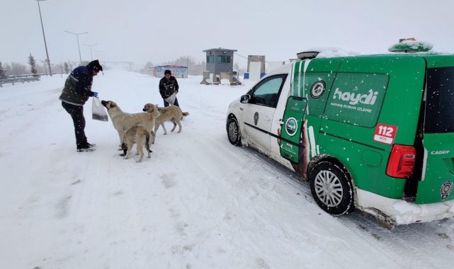 Elazığ polisi sokak hayvanlarını unutmadı