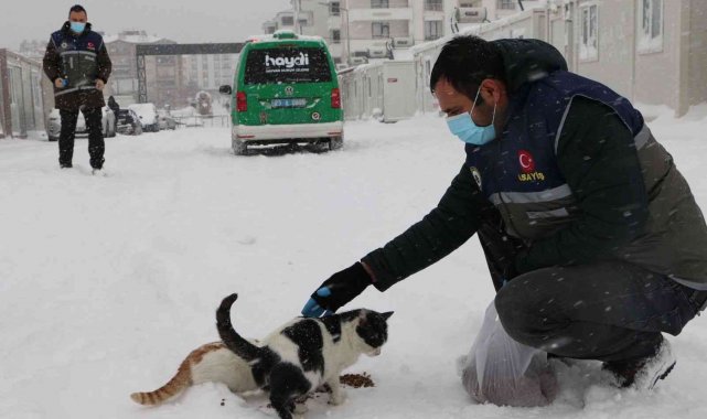 Elazığ&#039;da &#039;HAYDİ&#039; polisleri sokak hayvanlarını mamayla besledi